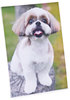 A Picture of product UNV-76850 Universal® Clear L-Style Freestanding Frame 5 x 7 Insert, 3/Pack