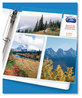 A Picture of product AVE-13401 Avery® Photo Storage Pages for Six 4 x 6 Mixed Format Photos, 3-Hole Punched, 10/Pack
