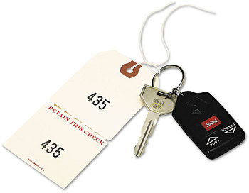 Avery® Duplicate Auto Park Tags 1-500, 4.75 x 2.38, Manila, 500/Box