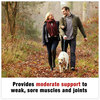 A Picture of product MMM-207461 ACE™ Self-Adhesive Bandage 3 x 50