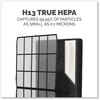 A Picture of product FEL-9787902 Fellowes® AeraMax® SV Combo Filter 2 Sets/Pack