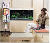 A Picture of product SAF-4139CH Safco® Wire Rotary Display Racks 16 Compartments, 15w x 15d 60h, Charcoal