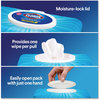 A Picture of product CLO-31430 Clorox® Disinfecting Wipes, Easy Pull Pack. 1-Ply. 8 X 7 in. White. Fresh scent. 75 towels/box.