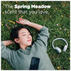 A Picture of product PGC-03250 Tide® PODS™ Pods. Spring Meadow scent. 112 pods/tub, 4 tubs/carton.