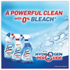 A Picture of product RAC-96084 LYSOL® Brand Toilet Bowl Cleaner with Hydrogen Peroxide Ocean Fresh, 24 oz, 2/Pack, 4 packs per case.