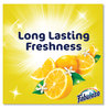 A Picture of product CPC-98557 Fabuloso® Antibacterial Multi-Purpose Cleaner. 48 oz. Bottle. Sparkling Citrus scent. 6 bottles/carton.