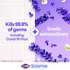 A Picture of product CLO-60040 Clorox® Scentiva™ Bleach Free Cleaning Wipes. 7.75 X 7 in. Tuscan Lavender and Jasmine scent. 75 Wipes/Canister.