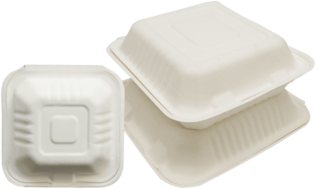 Empress™ Earth Bagasse Molded Fiber Hinged Lid Containers. 9 X 9 X 3 in. Natural White. 100 containers/pack, 2 packs/case.