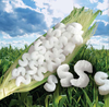 A Picture of product 365-204 RENATURE Packing Peanuts.  Biodegradable.  14 Cubic Feet. RENATURE