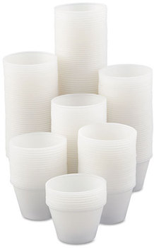 SOLO® Cup Company Polystyrene Portion Cups, 4oz, Translucent, 250/Bag, 10 Bags/Carton