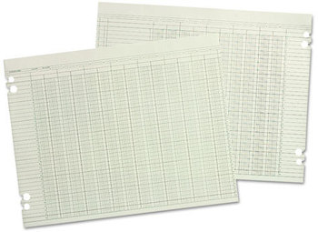Wilson Jones® Columnar Loose Sheets, 10 Column, 9-1/4 x 11-7/8, 100 Loose Sheets/Pack, Green
