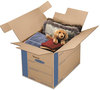 A Picture of product FEL-0062901 Bankers Box® SmoothMove™ Prime Moving & Storage Boxes Moving/Storage Hinged Lid, Regular Slotted Container (RSC), 18" x 24" Brown/Blue, 6/Carton