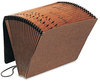 A Picture of product PFX-01365 Pendaflex® All Purpose Expanding File 2" Expansion, 21 Sections, Elastic Cord Closure, 2/5-Cut Tabs, Letter Size, Red Fiber