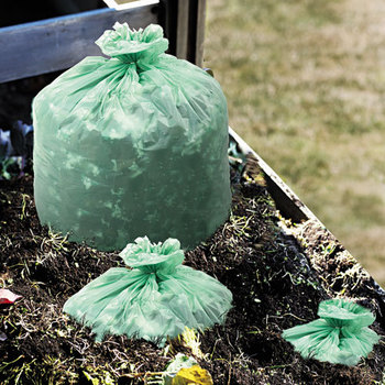 Stout® EcoSafe-6400™ Bags,  1.1mil, 30 x 39, Green, 48/Box