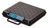 A Picture of product SBW-GP250 Brecknell 100 lb and 250 lb Portable Bench Scales,  250lb Capacity, 12 x 10 Platform