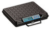 A Picture of product SBW-GP250 Brecknell 100 lb and 250 lb Portable Bench Scales,  250lb Capacity, 12 x 10 Platform