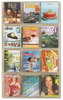 A Picture of product SAF-5602CL Safco® Reveal™ Clear Literature Displays 12 Compartments, 30w x 2d 49h,