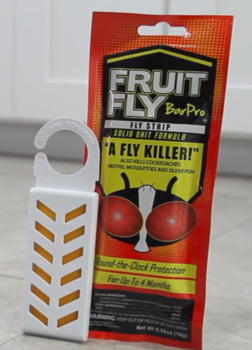 Fruit Fly Bar Pro Strips.  Kills bugs for 4 months.  10 Packs/Case.