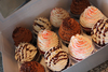 A Picture of product SCH-10018 Cupcake Inserts, 8-7/8 x 8-7/8 x 3/4 in, 200/Case.