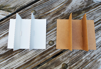 3-Cell Divider Insert W, 5-3/4 x 4-3/4 x 1-7/8 in, 500/Case.